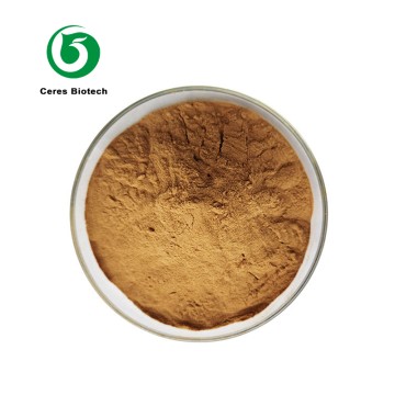 Food Grade Herbal Supplement Dogwood Cornus Off...