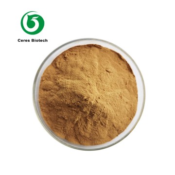 Factory Supply Natural Costus Root Extract Cost...