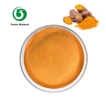 High Quality Supplement Turmeric Root Extract C...