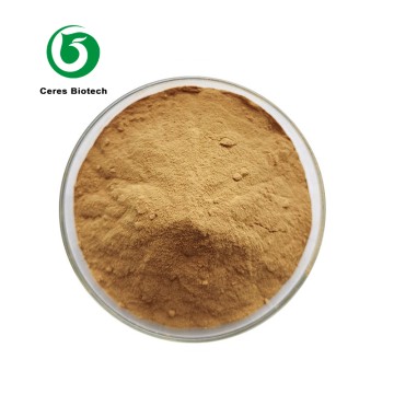 Factory Supply Dendrobium Candidum Extract dend...