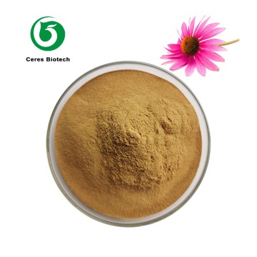 Natural Food Grade 4% Chicoric Acid Echinacea P...
