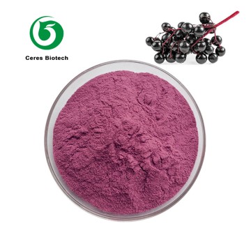Food Grade Elderberry Fruit Extract Powder 25% ...