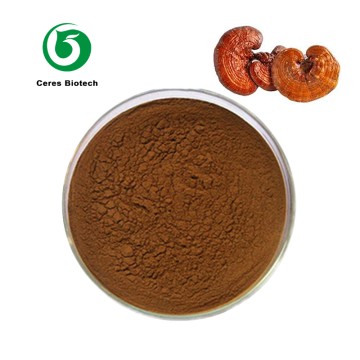 Pure Nature Shell Broken Ganoderma Lucidum Mush...