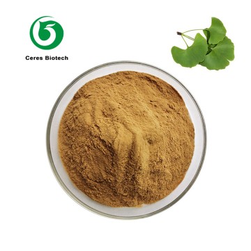 Food Supplement Natural Ginkgo Biloba Leaf Extract Powder 24% Flavones 6% Lactones