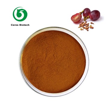 Natural 95% OPC Procyanidins B2 Powder Grape Se...