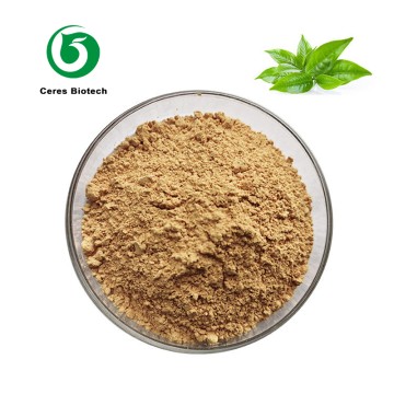 Natural 95% Polyphenols 40% EGCG Powder Green T...