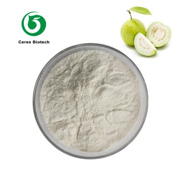 Factory Supply Organic Fresh Guava Juice Powder