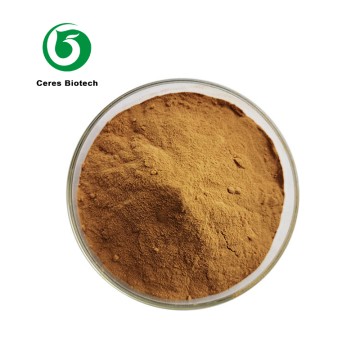 Food Grade Natural Organic Chaga Extract Inonot...