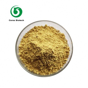 Herba Cynomorii Extract 98% Songaria Cynomorium...