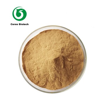 Top Quality Bulk Price Aloe Vera Extract Powder...