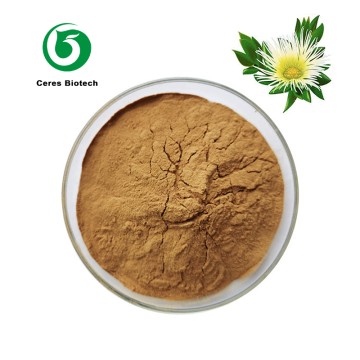 High Quality Kanna Sceletium Tortuosum Extract ...