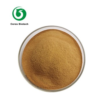 100% Pure Natural High Quality Leek Seed Extrac...