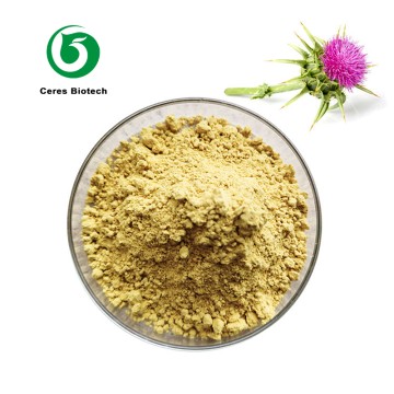 Food Grade Organic Milk Thistle Seed Extract 80% Silymarin Powder