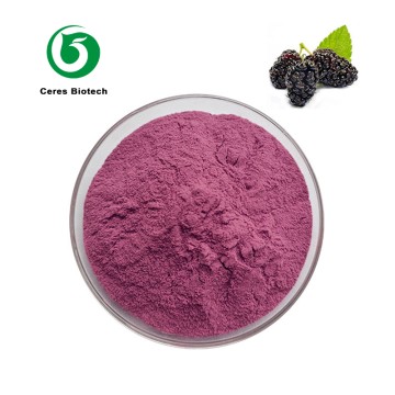 Pure Natural 100% Water Soluble Mulberry Juice ...