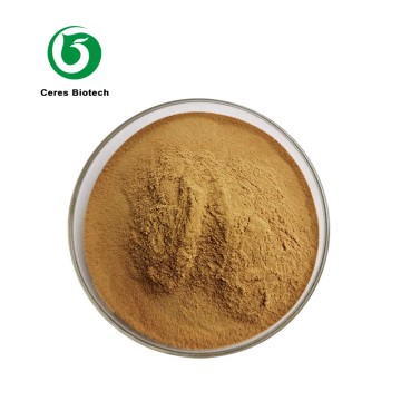 Natrual Mulberry Leaf Extract Powder 1-DNJ 1%-20%