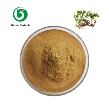100 % Pure Natural Stinging Nettle Root Extract...
