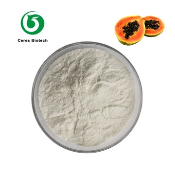 High Quality Papaya Extract Powder Papain Enzyme