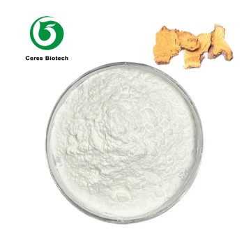 Natural Herbal Extract Powder Polygonum Cuspida...