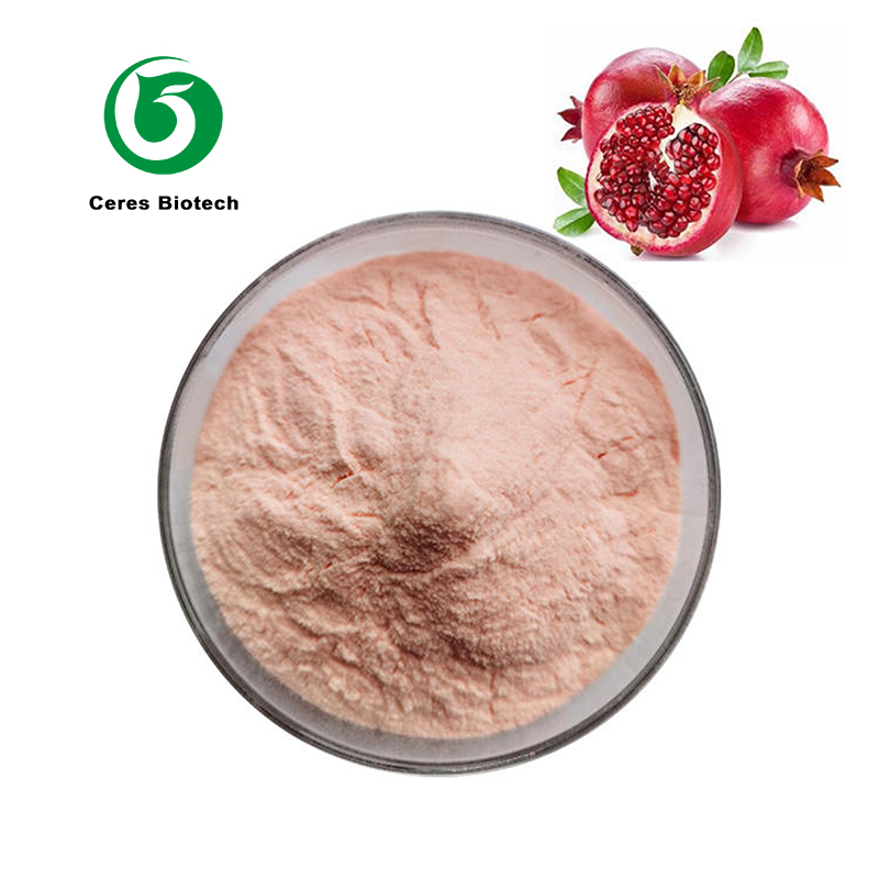 Pomegranate Juice Powder.jpg
