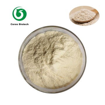 Food Grade Natural Organic Pure Psyllium Seed H...