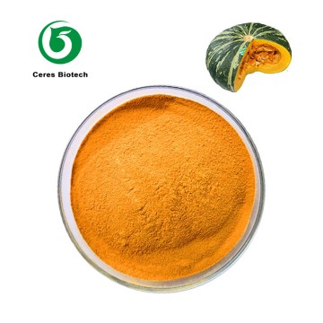 High Quality Pure Natural 100% Pumpkin Powder