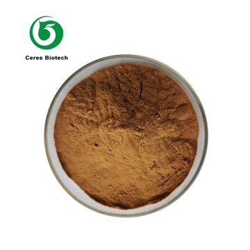 Food Grade High Quality Radix Notoginseng Root ...