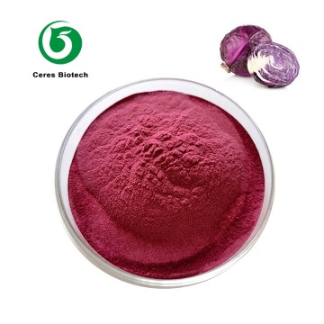 High Quality Food Grade Purple Cabbage Extract ...