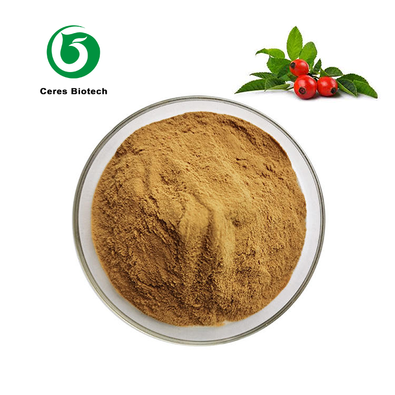 Rose hip Juice Powder.jpg