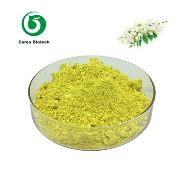 Natural Sophora Japonica Extract 95% Rutin