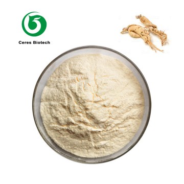 Chinese Traditional Herb Siberian Ginseng Extract 5%-80% Ginsenosides Powder
