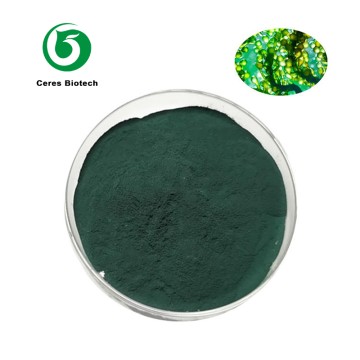 Natural Pigment Chlorophyll Sodium Copper Chlor...
