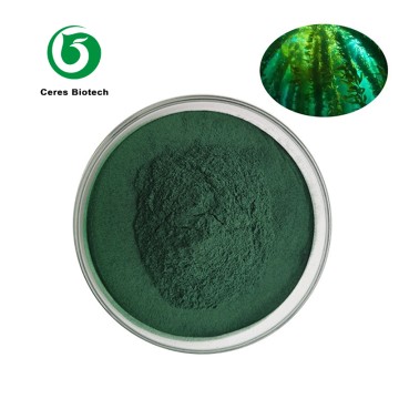 Bulk Food Grade Organic Spirulina Tablets Premium Pure Spirulina Powder