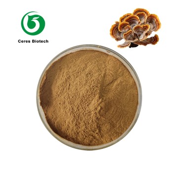 Wholesale Pure Natural Turkey Tail mushroom Ext...