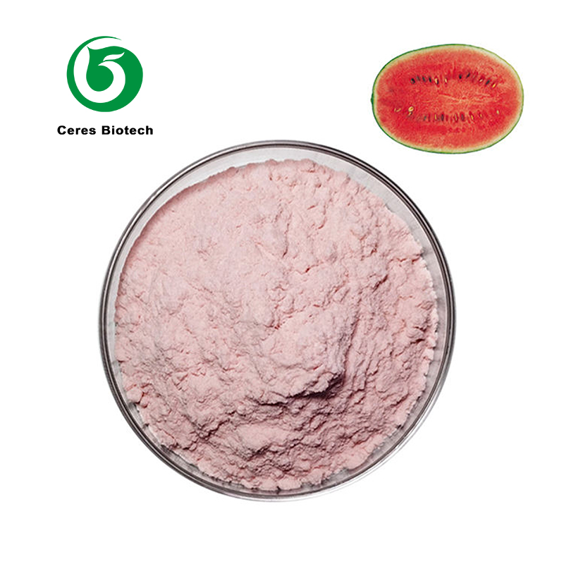 Watermelon Juice Powder.jpg