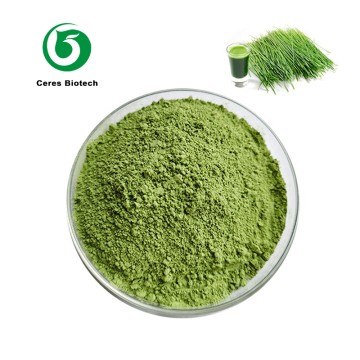 Food Grade Natural Organic Wheat grass Juice Po...