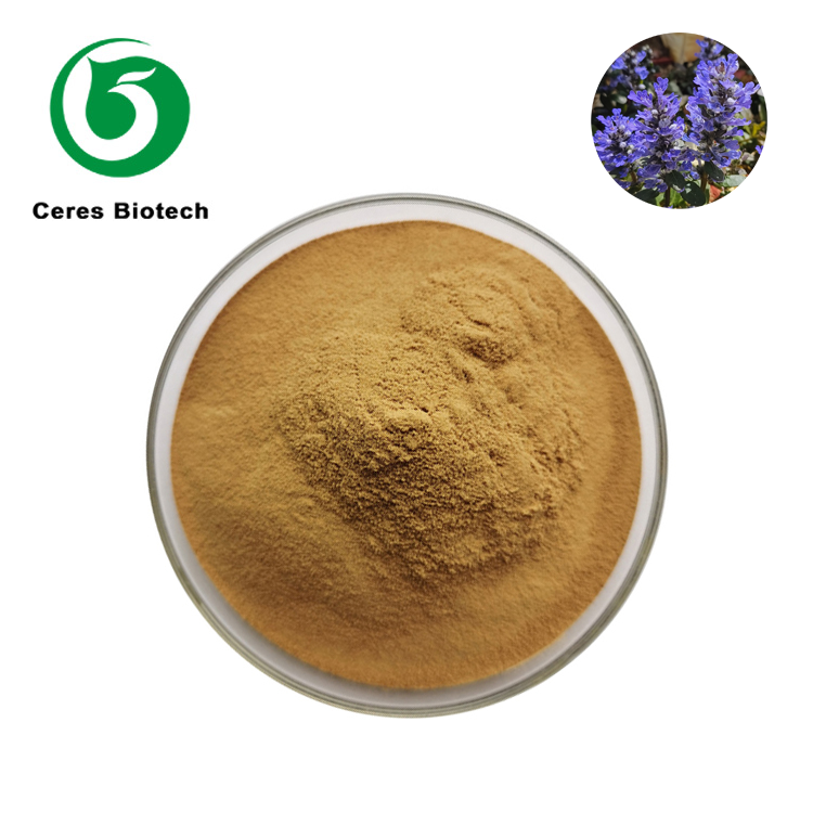 Ajuga Turkestanica extract01.png