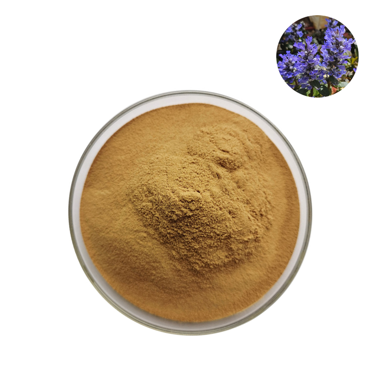 Ajuga Turkestanica extract02.png