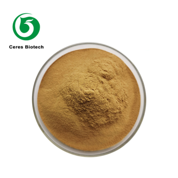 Natural Food Grade Bamboo Leaf Herbal Extract P...