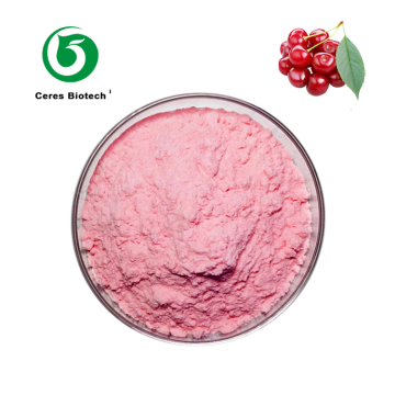 Natural Organic Tart Acerola Cherry Juice Powder