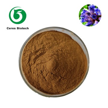 High Quality Natural Coleus Forskohlii Extract Powder Forskolin Powder