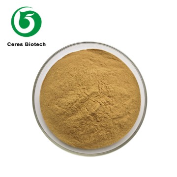 Natural Herb Melissa Lemon Balm Extract Powder