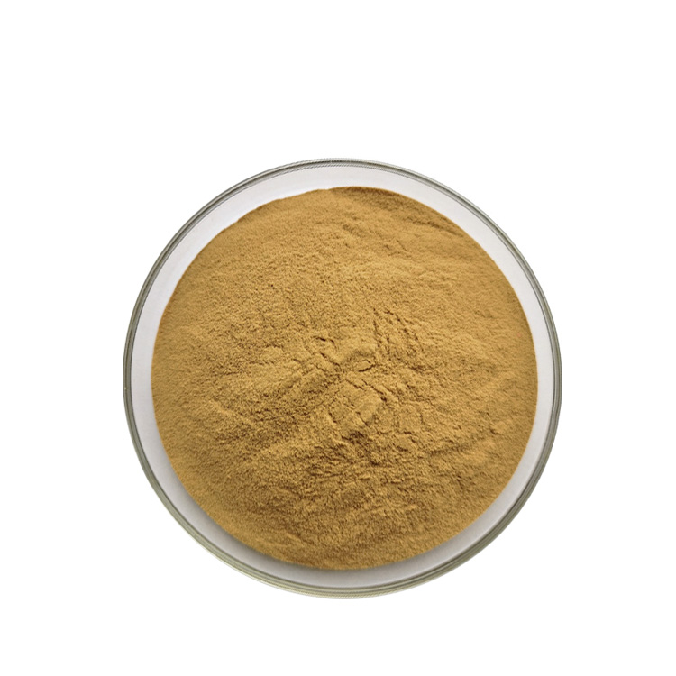 Lemon Balm Extract02.png