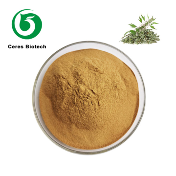 Natural Herbal Leonurus Cardiaca Extract Motherwort Extract Powder