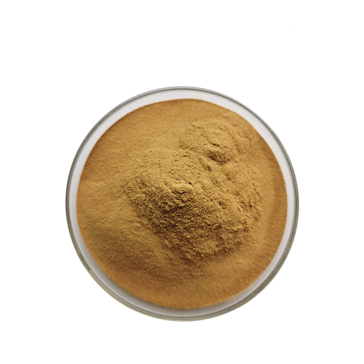 Nigella Sativa Extract2.png