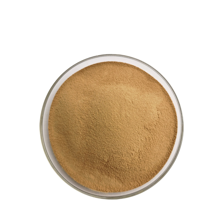Pumpkin Seed Extract02.png