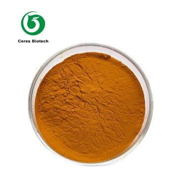 Organic Safflower Seed Extract Safflower Yellow Powder