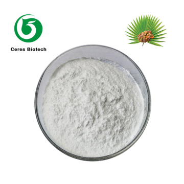 Extrait naturel de palmier nain (25 %, 45 % en poudre)