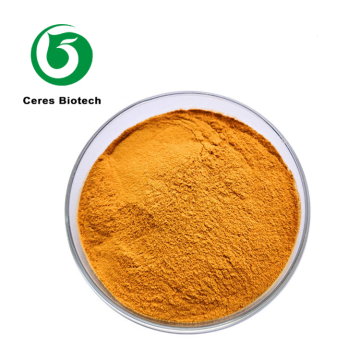 Wholesale Bulk Riboflavin Vitamin B2-1
