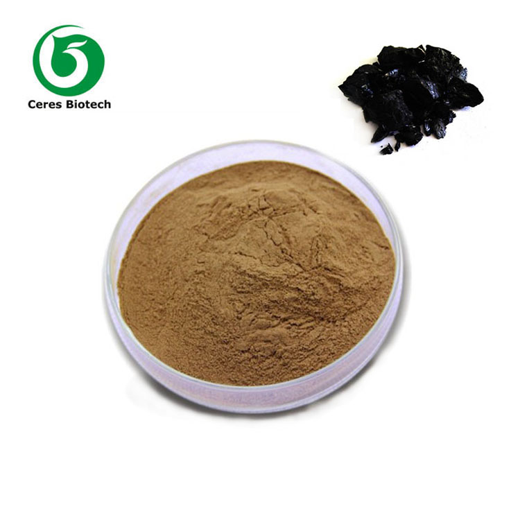 Soldes ! Shilajit noir pur et purifié de Chine