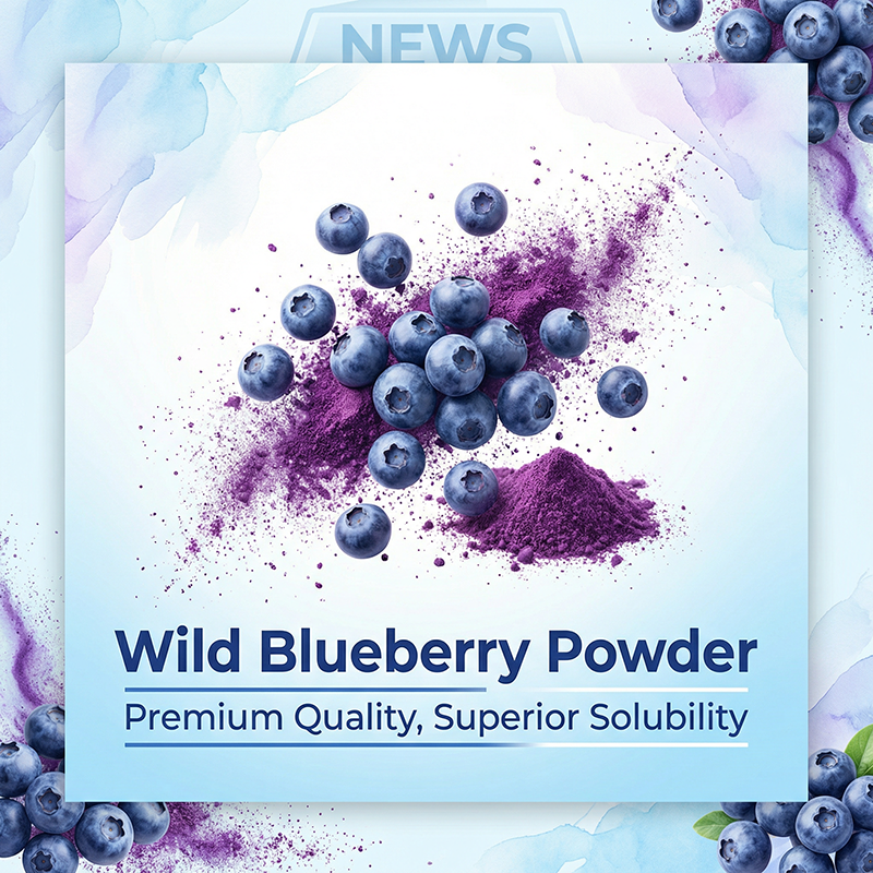 The Molecular Preservation War: Why Freeze-Dried Wild Blueberry Extract is the Gold Standard for Anthocyanin Integrity